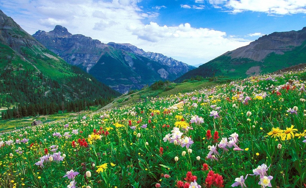 青島廢品回收，環境治理